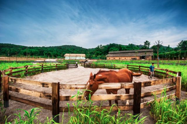 浮生御度假村温泉票,浮生御套票