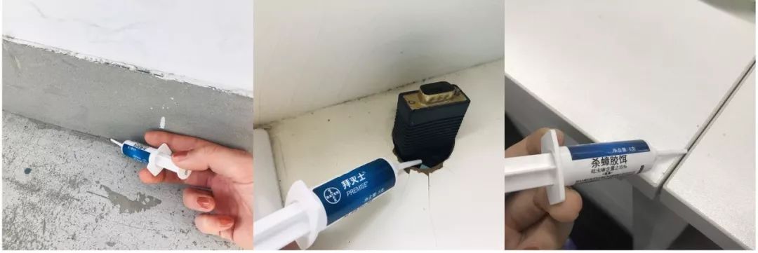 家里有蟑螂怎么样才能把它给消灭,家里有蟑螂用什么东西来消灭它