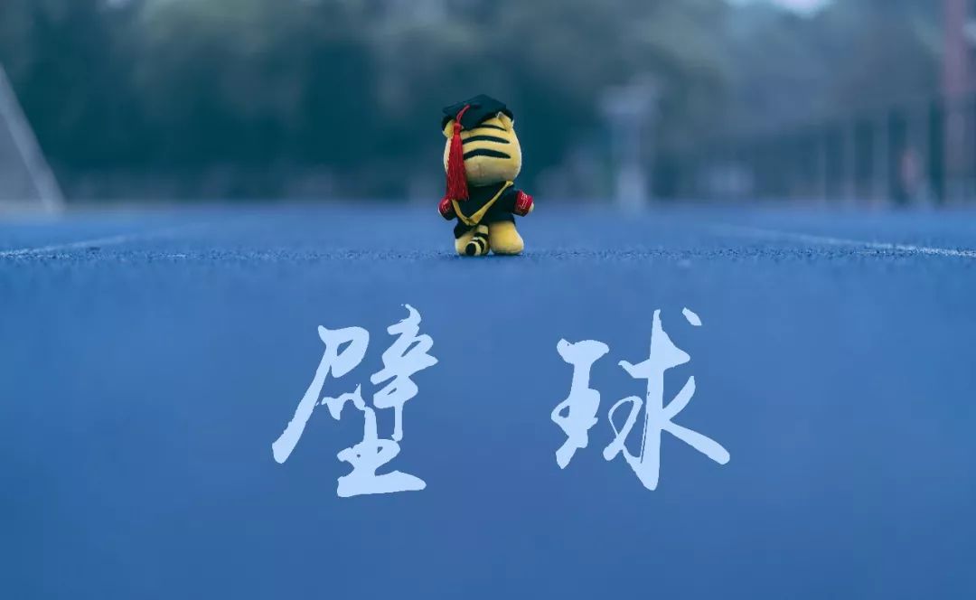 大学室内轮滑场,北京室内旱冰轮滑场