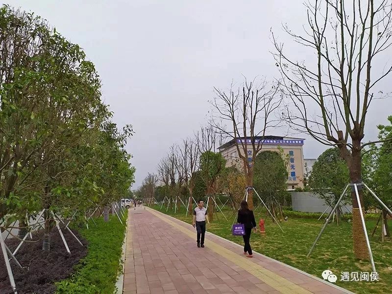 闽侯兜风,兜风去了原视频