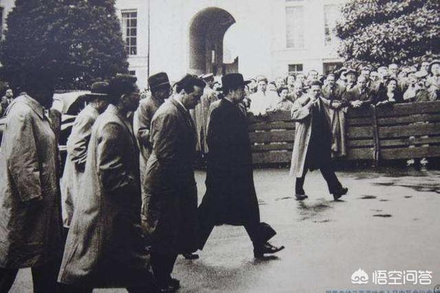 历史上最好的神回复是什么,历史上十大神回复