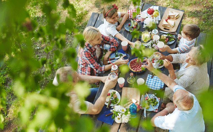 屋里放一点东西可以驱蚊子,家里放什么蚊子跑光光