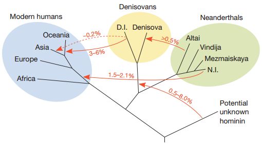 8亿男人都是11个帝王的后代?中国人到底是不是本土进化来的?答案令人惊诧!
