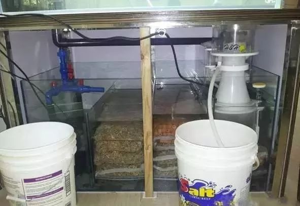 海缸害怕阳光照射吗,海缸如何压制褐藻