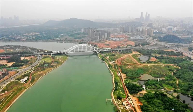 治风湿的药500多一瓶,十大治疗风湿的中成药批发