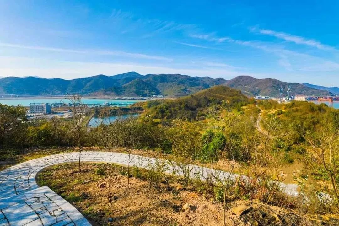 市区出发1h藏着一个“绿岛”？赛车、帆船、直升机…梅山原来如此洋气！