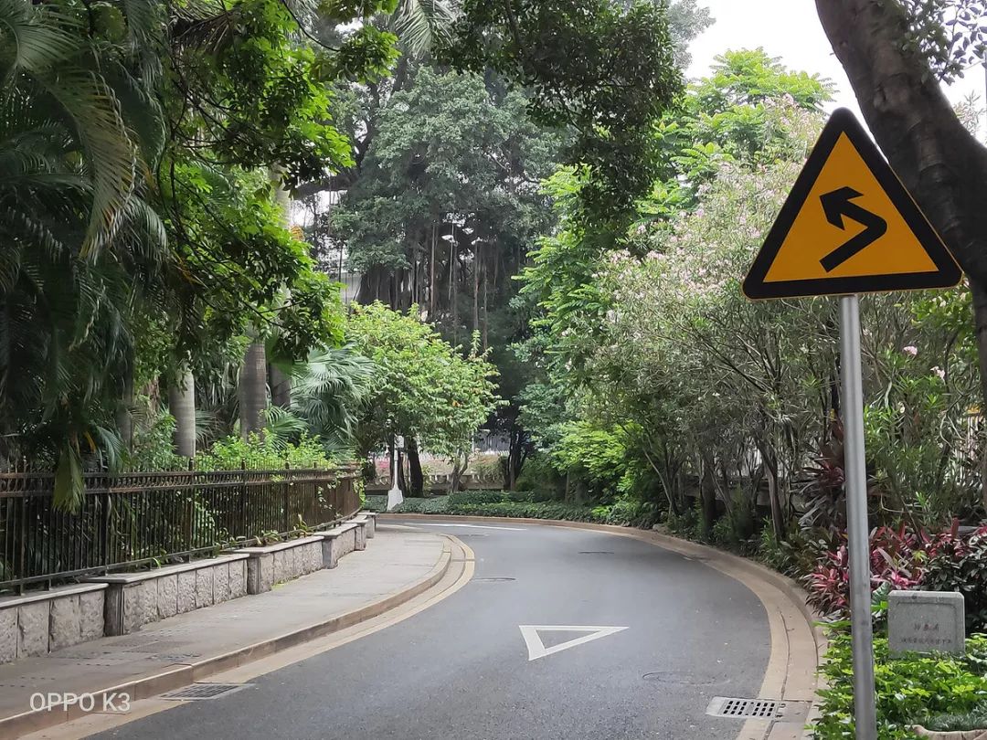 oppo性能好又便宜,oppo可玩性不高