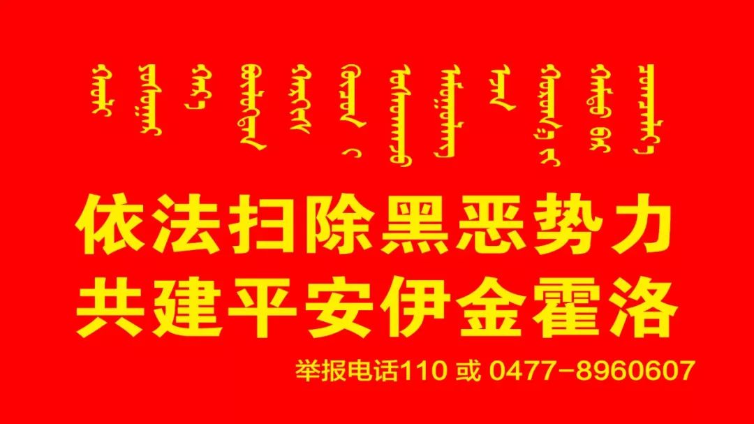 交通违法处理必须驾驶证本人吗,车违章没有处理可以办理驾驶证吗