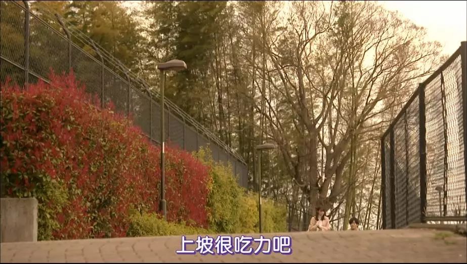 爱上已婚残疾女人咋办,喜欢上残疾人怎么办