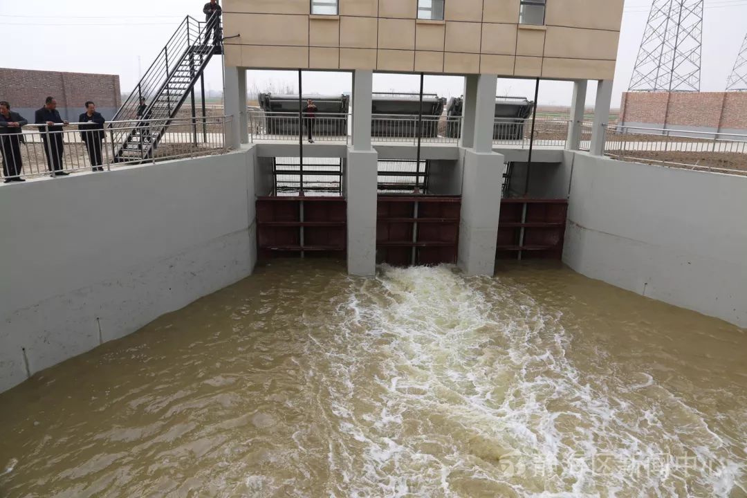 静海区绿化工程,高质量推进生态绿化建设