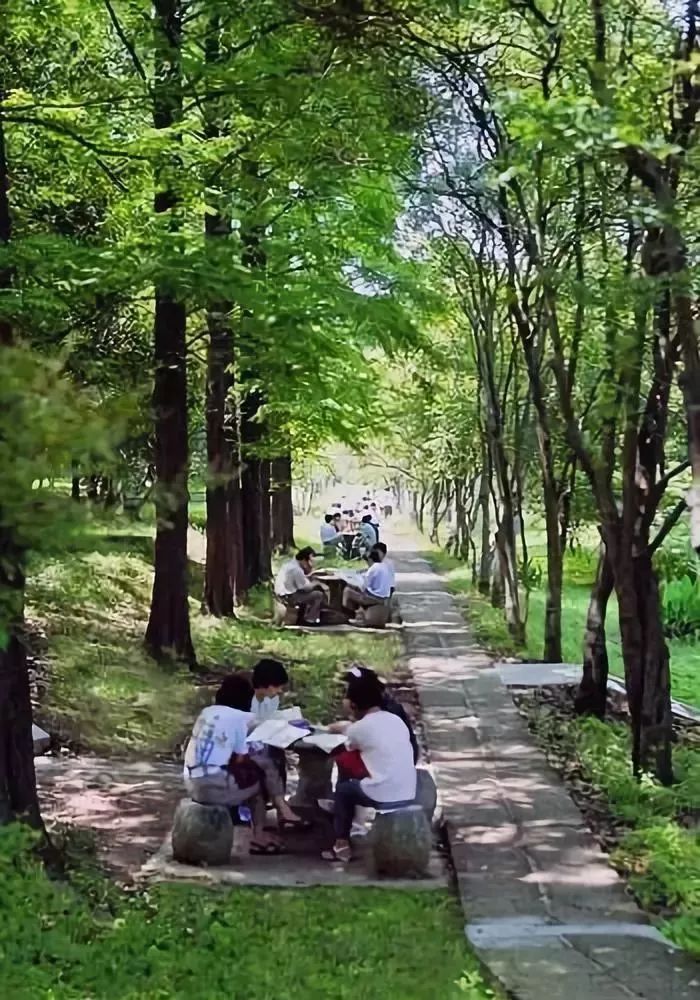 华为、海康、罗振宇、张小龙，低调生产科技大佬的华中科技大学