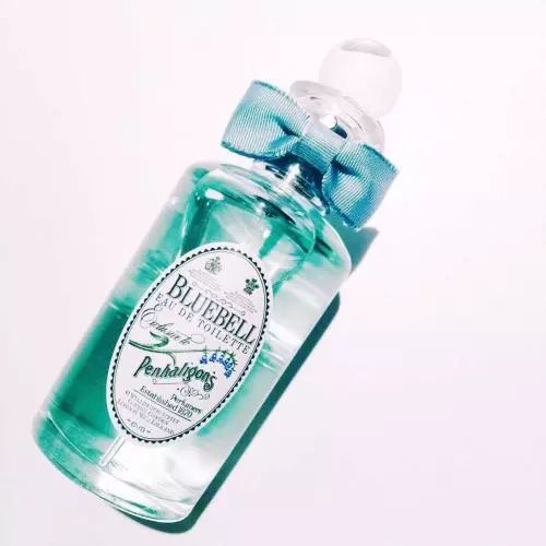 寻香|还原派VS颠覆派？诶呦~想不到这花还有两副面孔！（上）