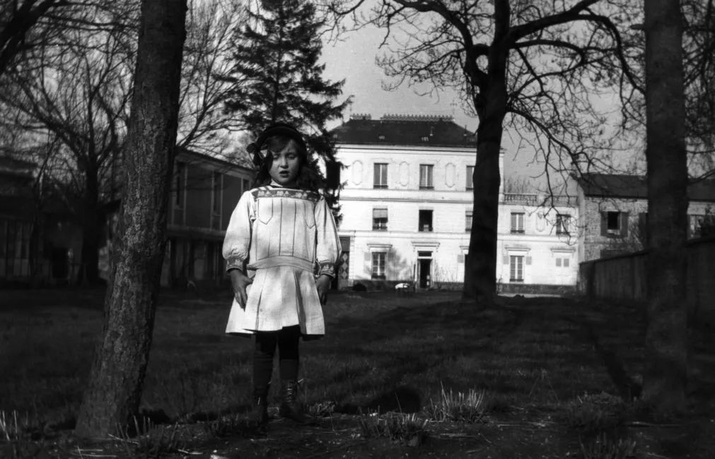 路易斯布尔乔亚细胞,路易斯布尔乔亚作品解读