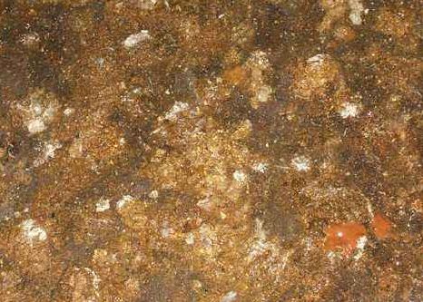 鸡有腺胃炎和饲料有关系吗,如何判断鸡有没有腺肌胃炎