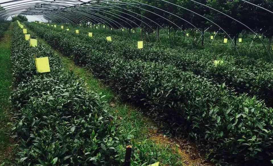 周末去哪儿快来这里尽情撒欢吧,周末周边游去一趟自己想去的地方