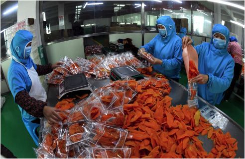 现在乡下可以收快递吗,一般农村可以收快递吗