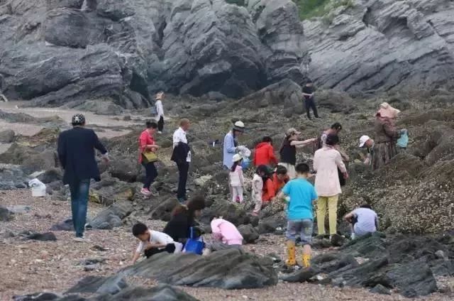 大连赶海全攻略金石滩,大连本地人最爱去的赶海海滩