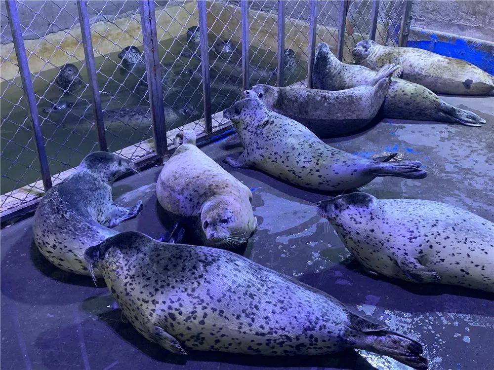 「滨海鲜闻」最恐怖最惊艳最刺激的开箱……一般人真看不了！