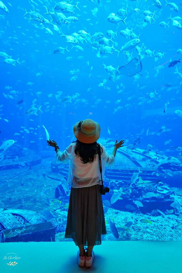 夏威夷之旅蔚蓝色的海,东方夏威夷海洋之心