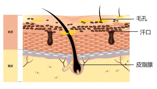 男士清理螨虫和黑头机器,男生青春痘黑头清洁神器