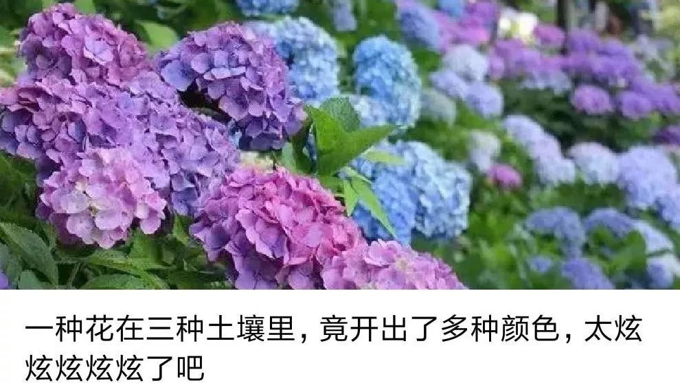 六一童趣优惠,老同学六一快乐童心永驻