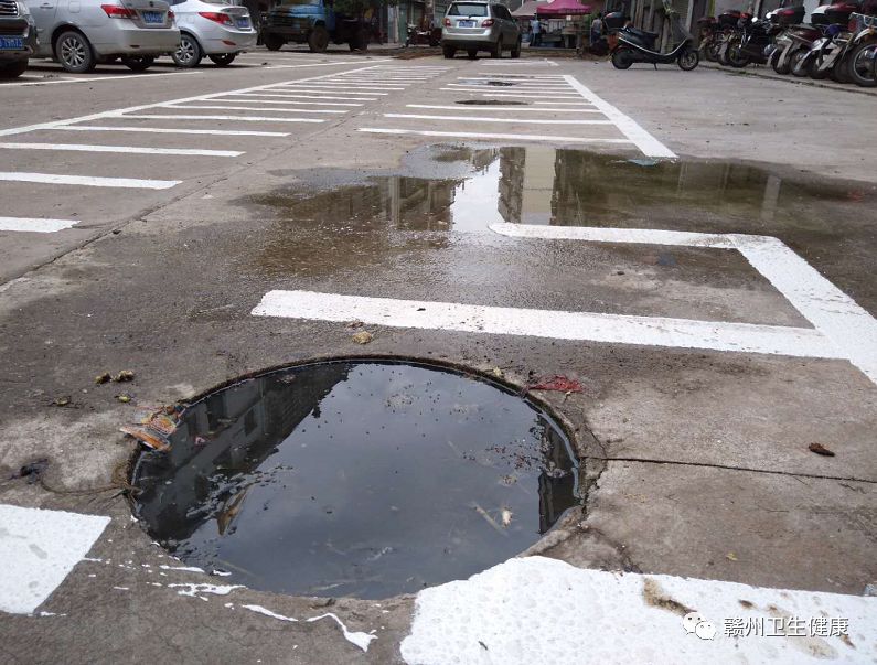 创卫新闻郭素芳,创卫现在的情况