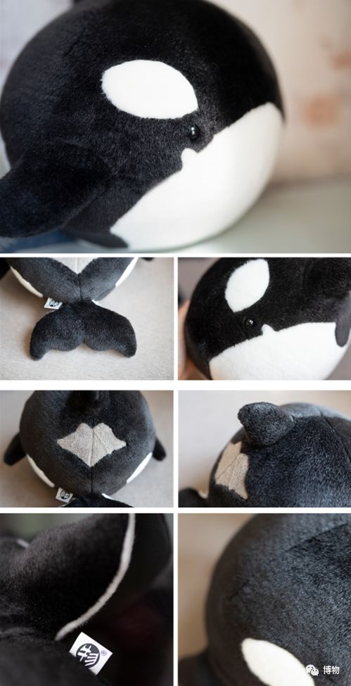 “圆宝”那么可爱，怎么能不盘它呢！