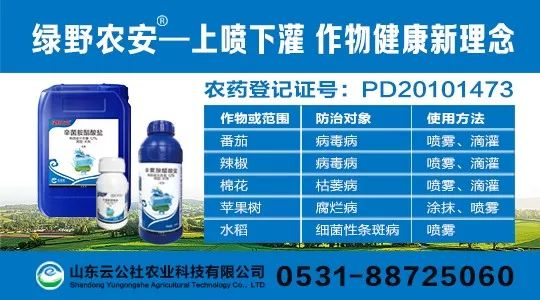 绿野杀菌剂,绿野农安