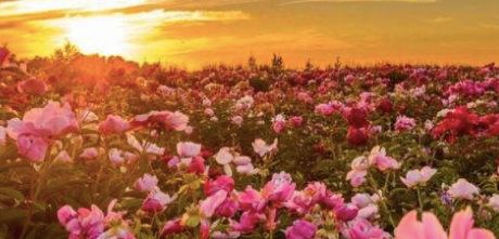 关于你需要知道的事,关于黑眼圈你需要知道的