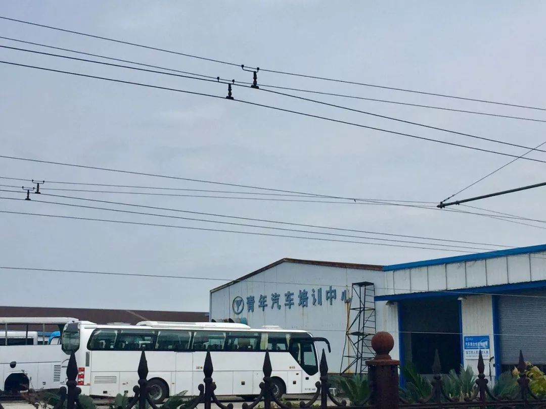 一线|走进金华，青年汽车为何“僵而不死”？