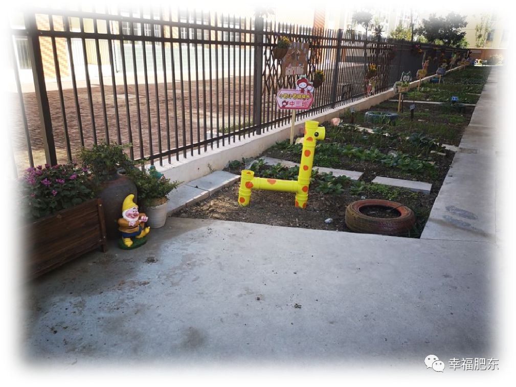 公示中！咱肥东一所幼儿园被评为市级一类幼儿园，快来为你娃所上的学校打call~