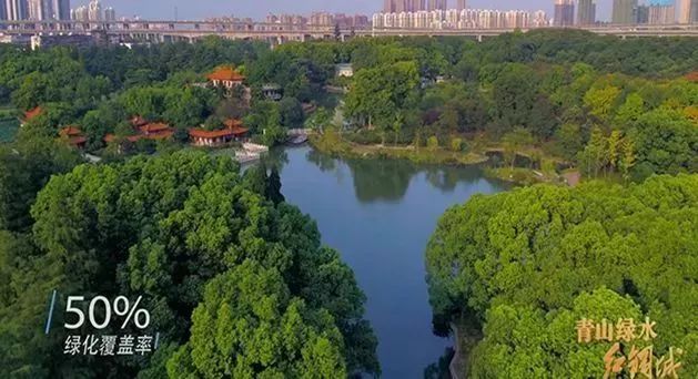 天呐!武汉这个区开挂了!反正我是羡慕了!