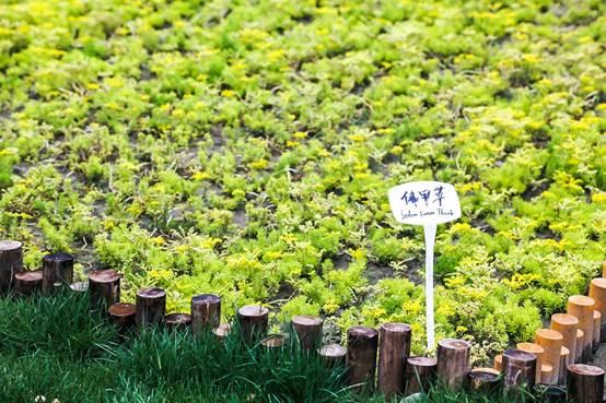 20个足球场多大,20个足球场有多大