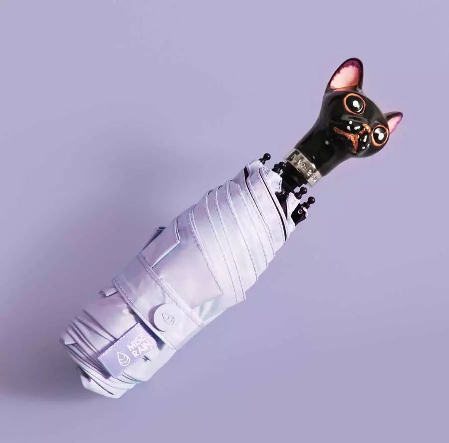 不惧台风的雨伞,无惧风雨的摩托车雨衣