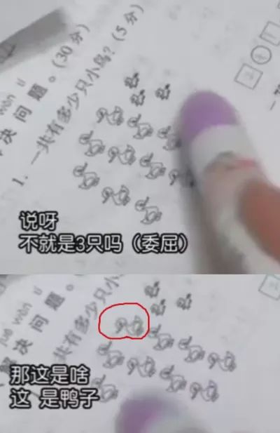 「宝贝们」知道自己有多“火”不？我们帮你盘一盘