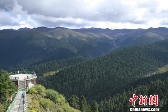 原来你是这样“富有”的*藏西**