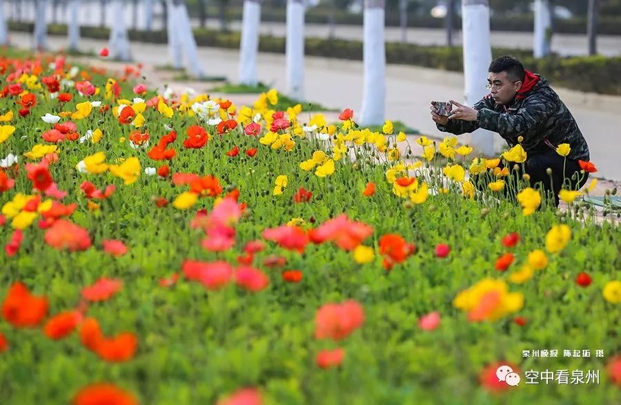 对不起，东海就是这么美