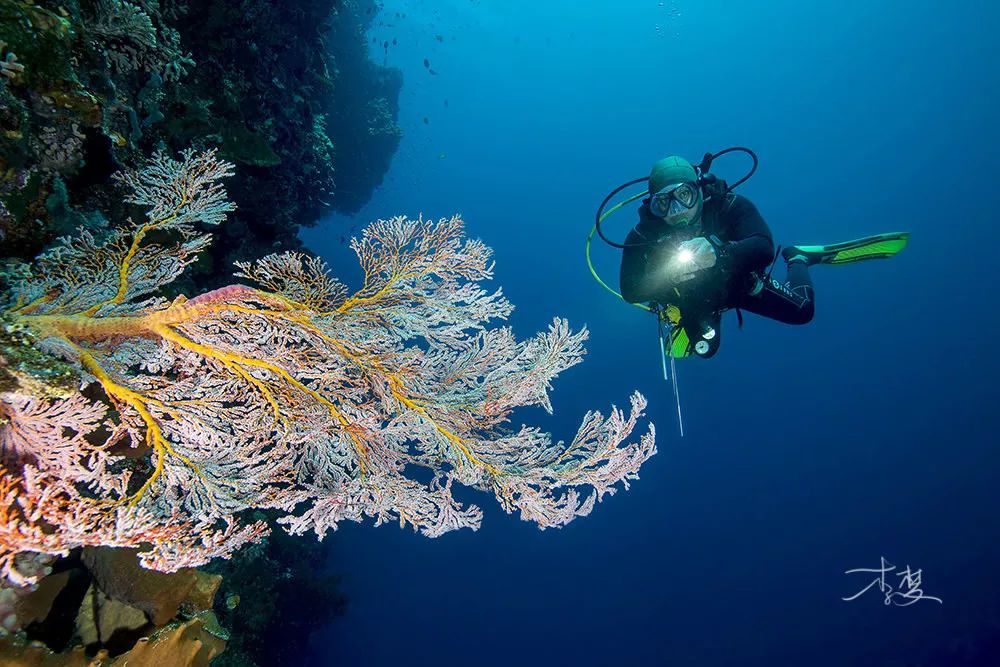 最便宜免签的海岛,小众便宜国外海岛旅游免签