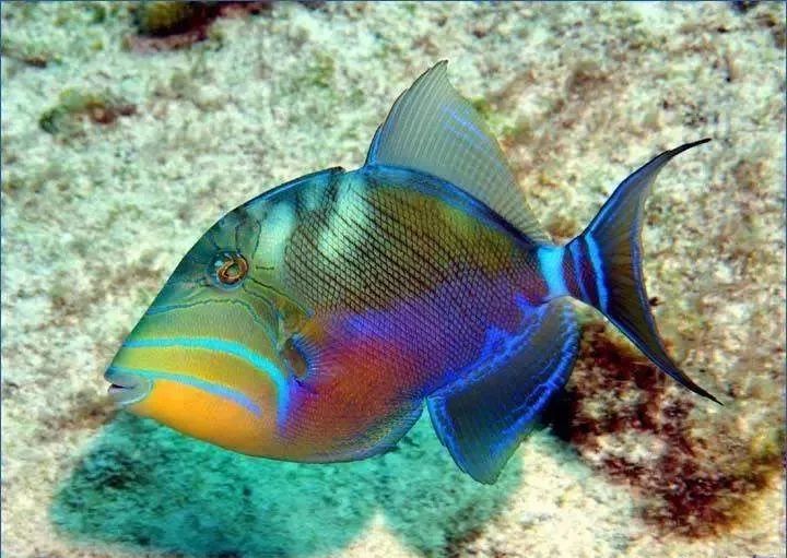 whatsapp时钟不正确怎么调,whatsapp显示版本过低