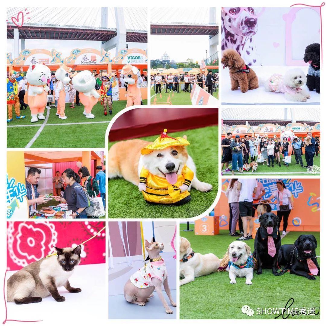 比瑞吉嘉年华欢乐翻天,比瑞吉猫粮冻干盛宴