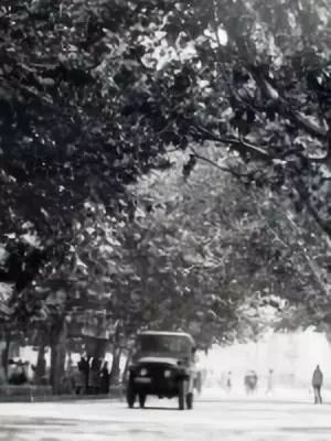 老照片100张阜阳三角洲,高清阜阳八十年代照片