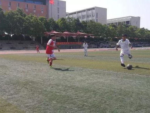 光山紫水学校照片,光山县紫水学校2020届