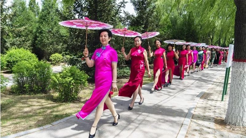 提升养老院服务水平改善服务质量,助力养老服务高质量发展