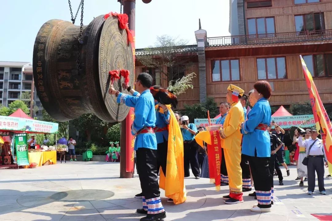 2024临桂端午节有什么活动,临桂端午有什么活动