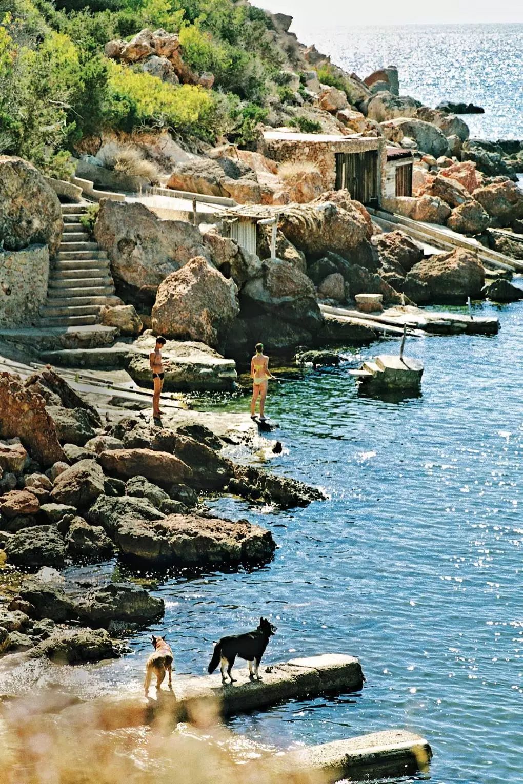 从狗仔到时装精从富婆到大明星|都爱这座神岛