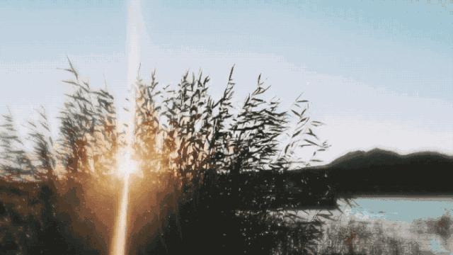 世界十佳净水品牌,最权威的世界十大净水品牌是哪些