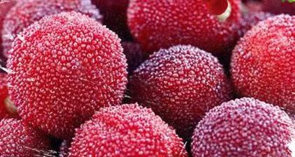 荔枝吃多了竟会得“病”！三颗杨梅下肚呼吸困难？很多人毫不知情