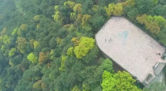 让全民动起来健身,让全民健康动起来