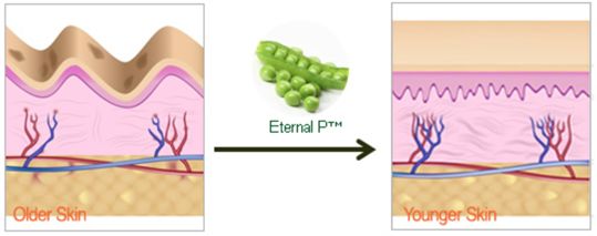 有必要用哪一款水乳,一辈子就能用一套水乳