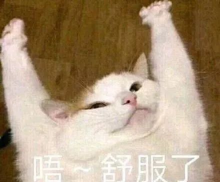 100%正品正宗纯天然桑蚕丝蚕丝被,正品纯手工100桑蚕丝被